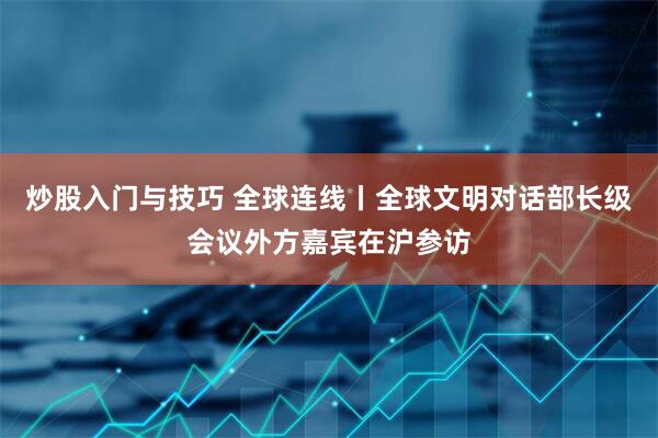 炒股入门与技巧 全球连线丨全球文明对话部长级会议外方嘉宾在沪参访