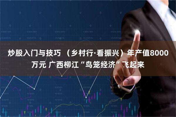 炒股入门与技巧 （乡村行·看振兴）年产值8000万元 广西柳江“鸟笼经济”飞起来